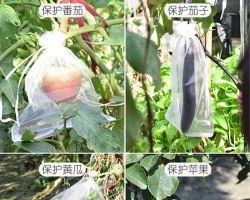 透氣網套袋