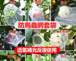 防鳥蟲透氣網