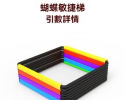多功能敏捷梯